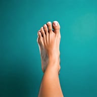 Foot